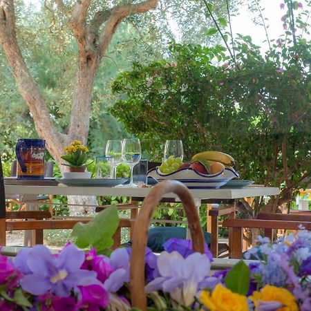 Casa Vacanze Il Bacio Piano di Sorrento Dış mekan fotoğraf